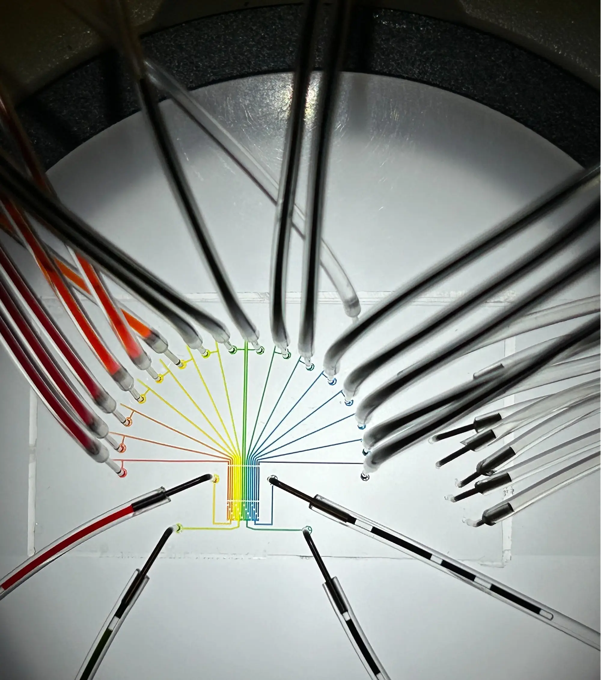 lab still life