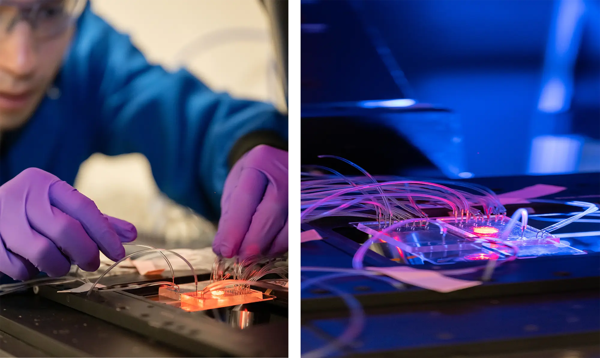 scenes of research from lab