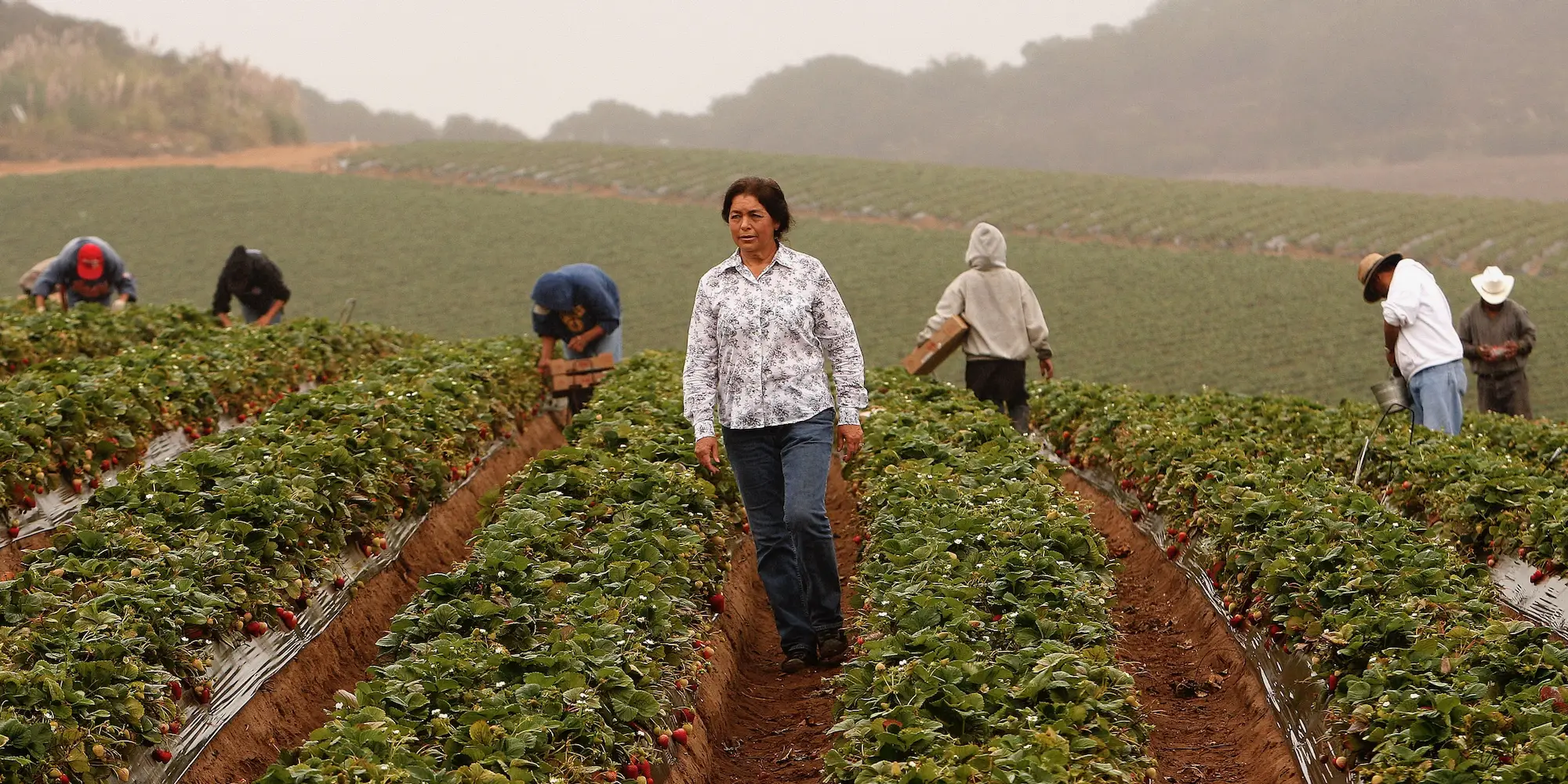 Workers in a field