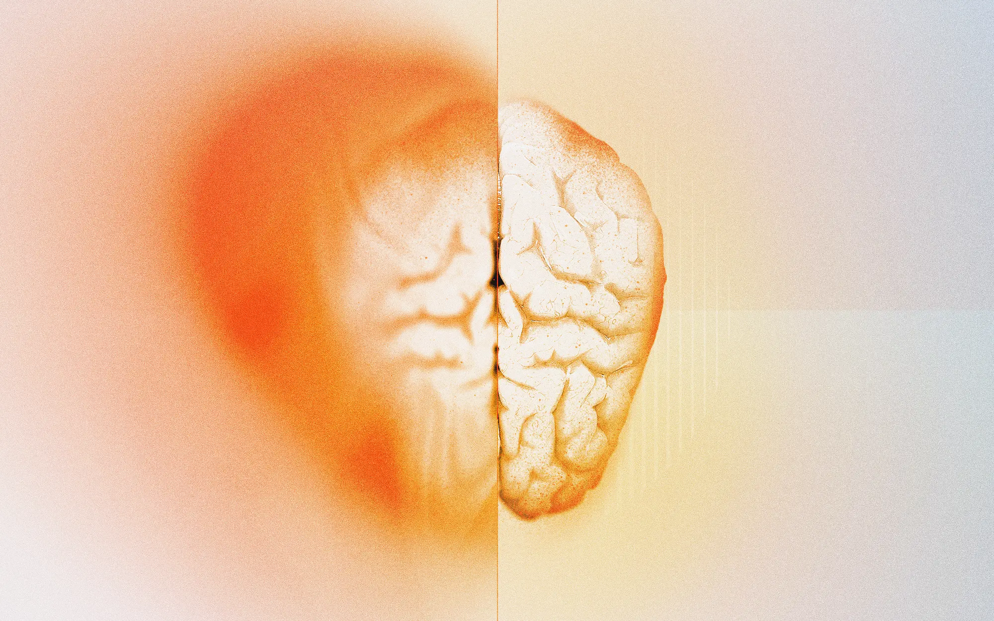 An illustration of a the human brain with the left half blurred and the right half is in focus.