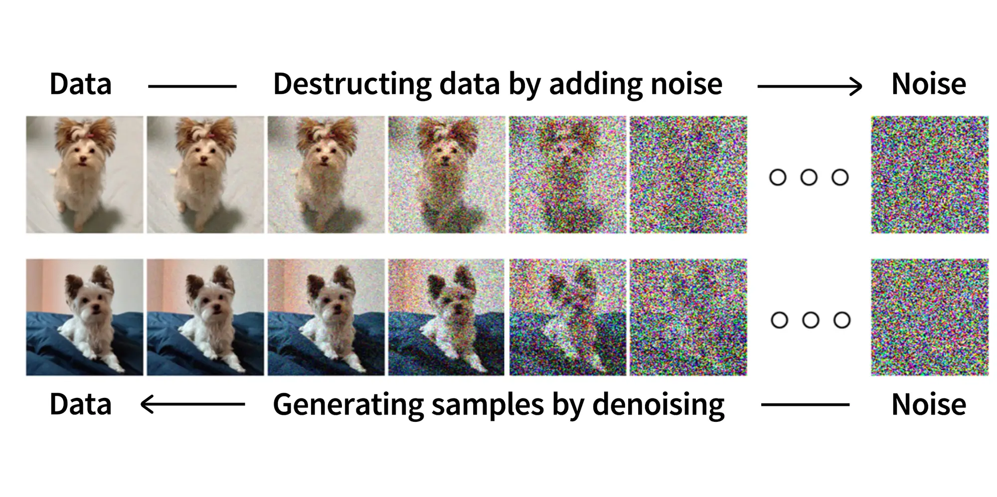 A diagram showing how a picture of a dog can be destructed and generated into a different image of a dog using the same data.