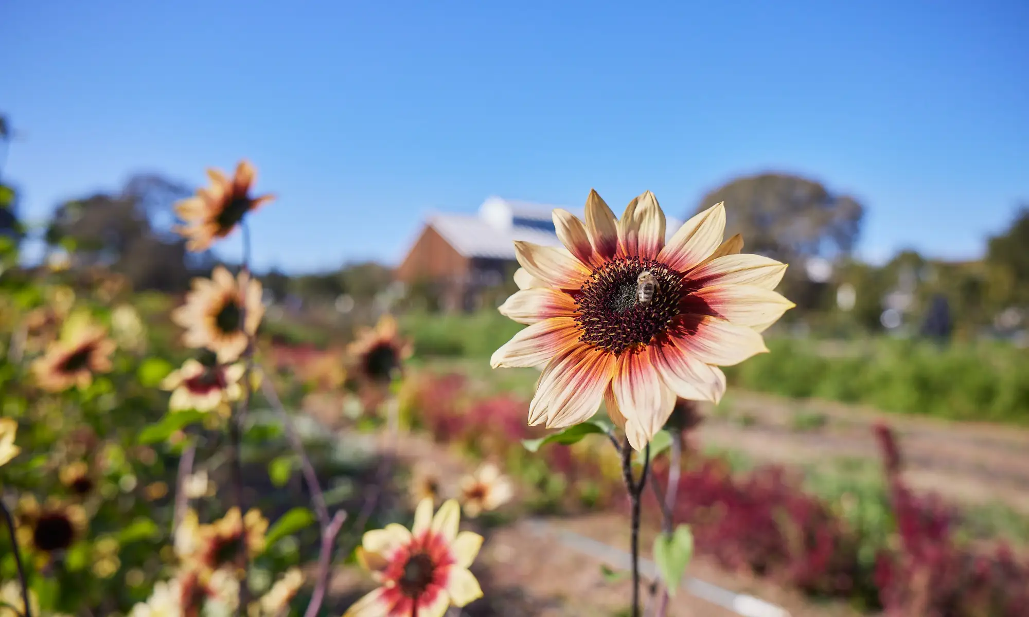 Stanford students sitting in a row of a classroom