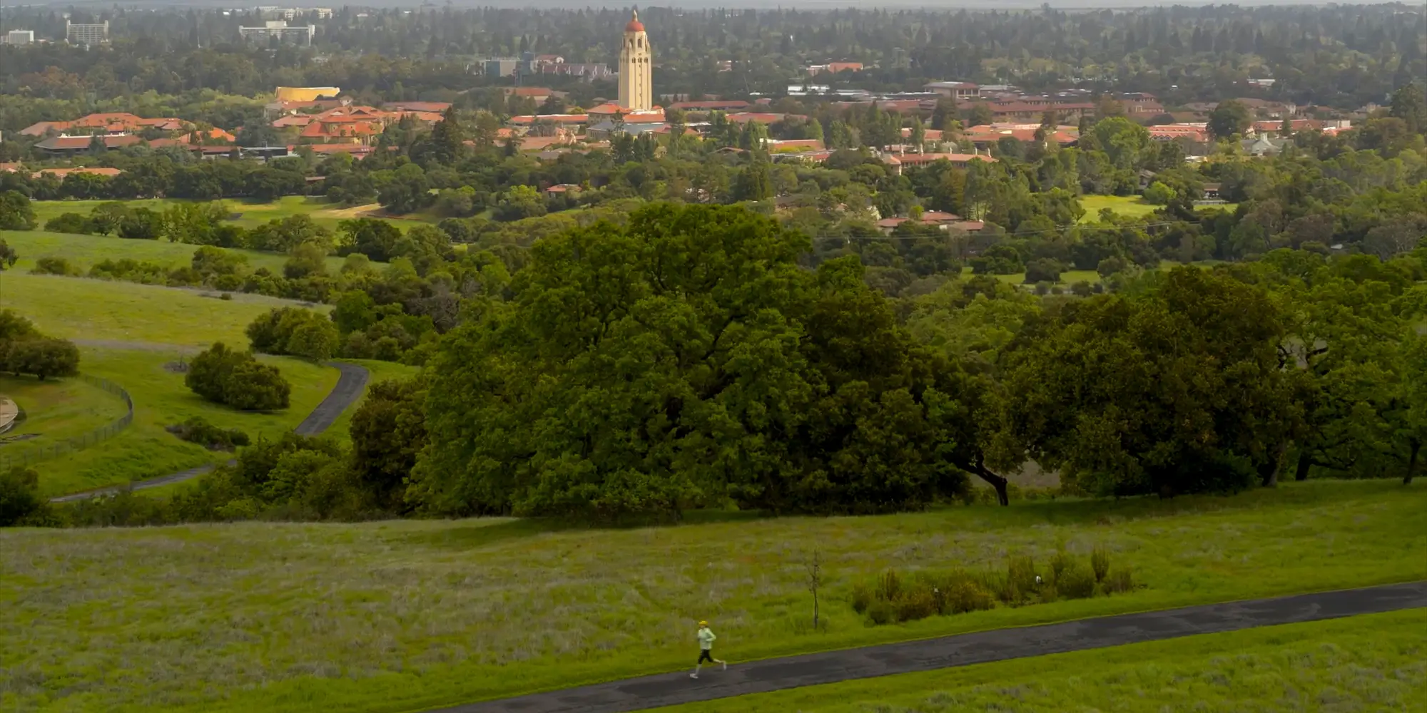 A landscape of campus
