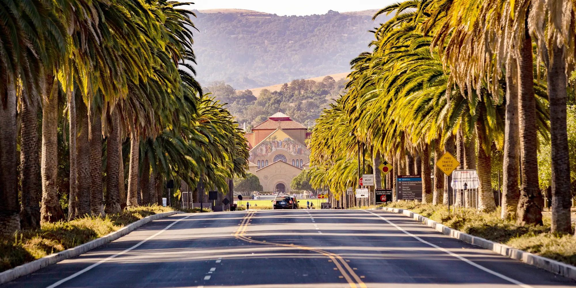 Looking up Palm Drive at Stanford