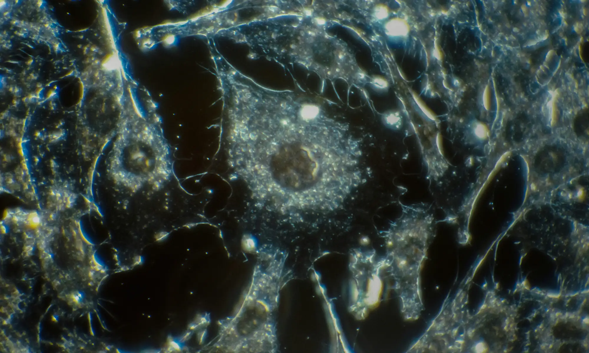 Photo by National Cancer Institute on Unsplash