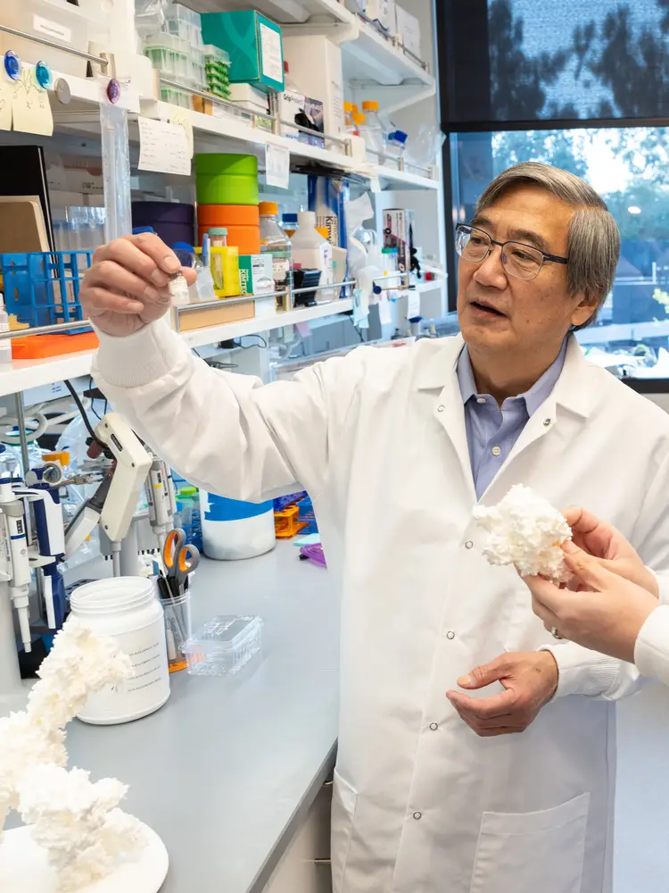 Peter Kim in a white lab coat holds a small vial in his lab.