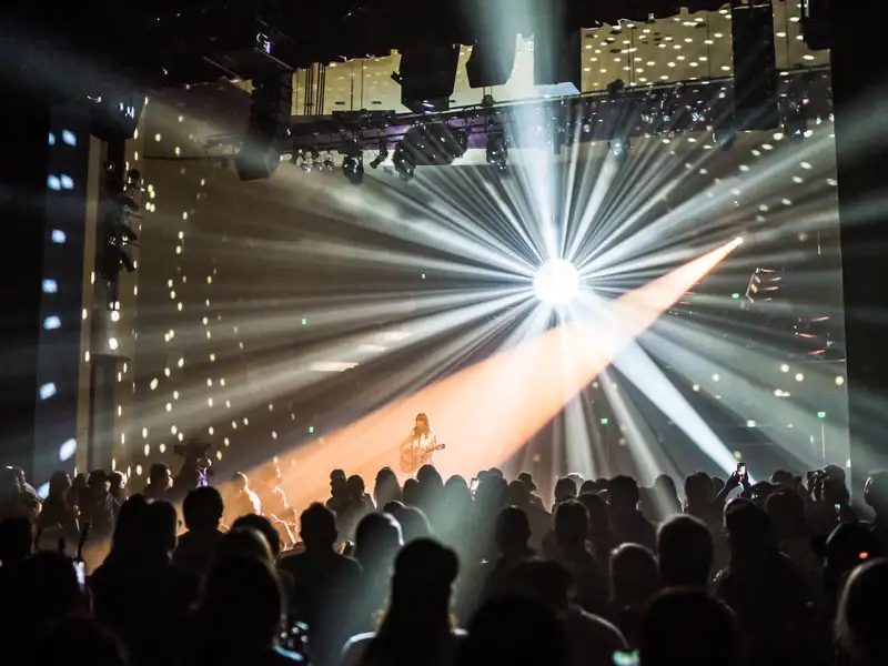Musical artist Feist performs onstage before a silhouetted crowd, lit by dramatic radiating beams and scattered spots of light.