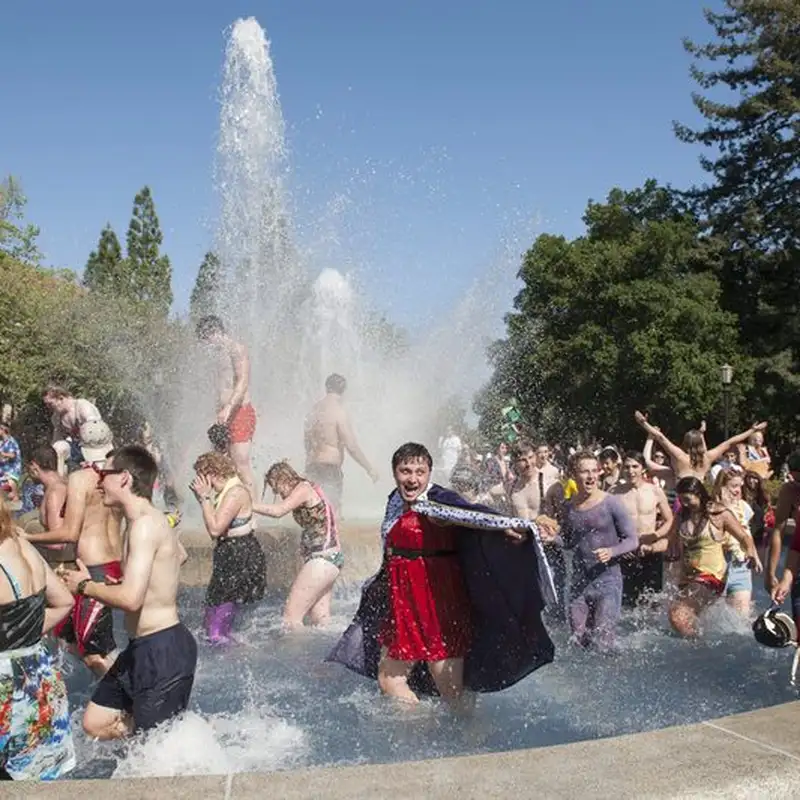 Dozens of students splashing in a fountain