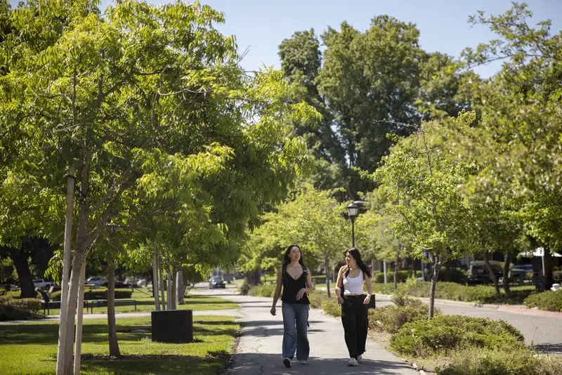 Two people walking on a tree-lined path on a sunny day.
