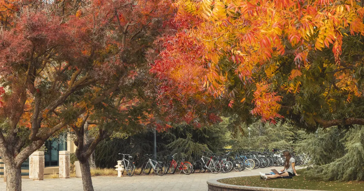 Good counsel: Bequest and estate plan gifts | Giving to Stanford
