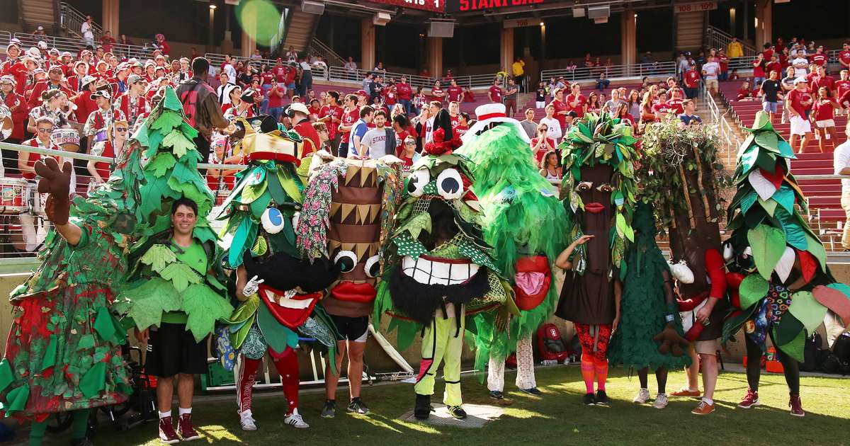 Stanford Reunion Homecoming | Stanford Alumni Association