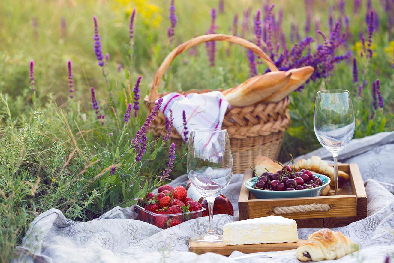 Summer - picnic in the meadow provence