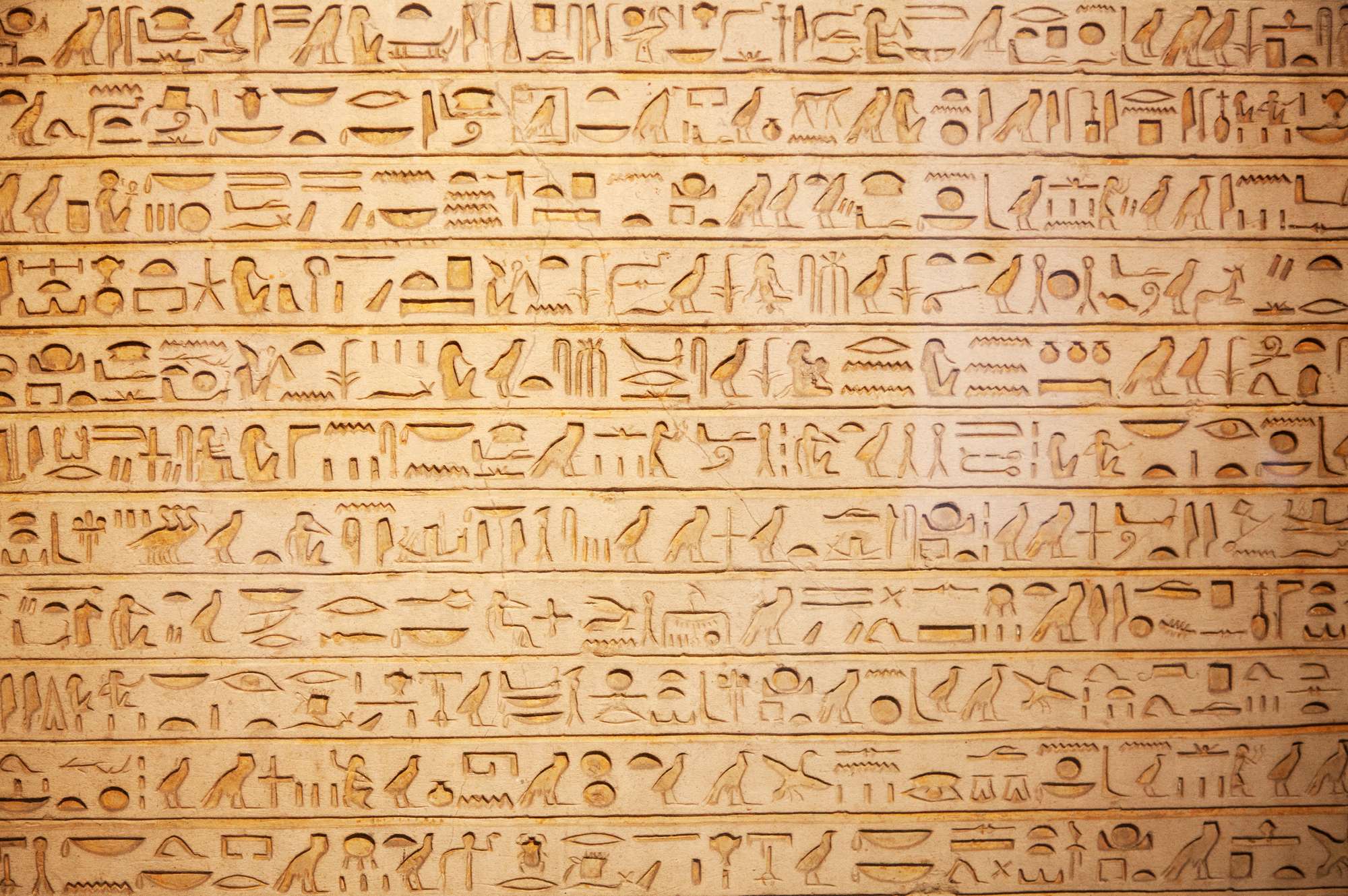 detail wall of hieroglyphs