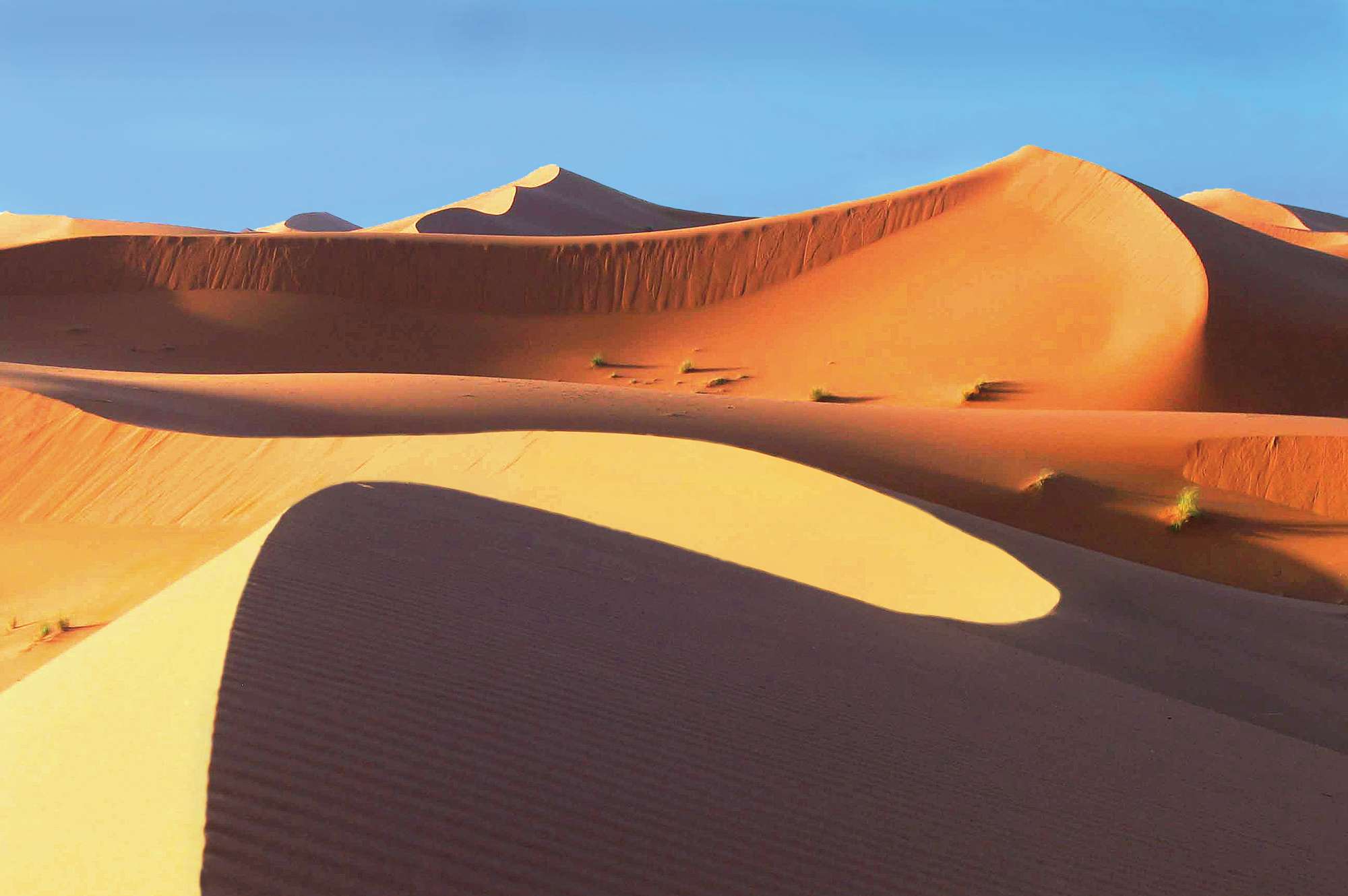 stunning view of the sahara desert sand formations