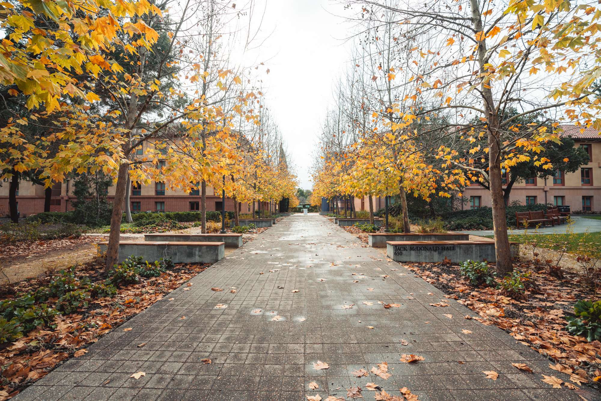 to the Stanford Alumni Association Stanford Alumni Association