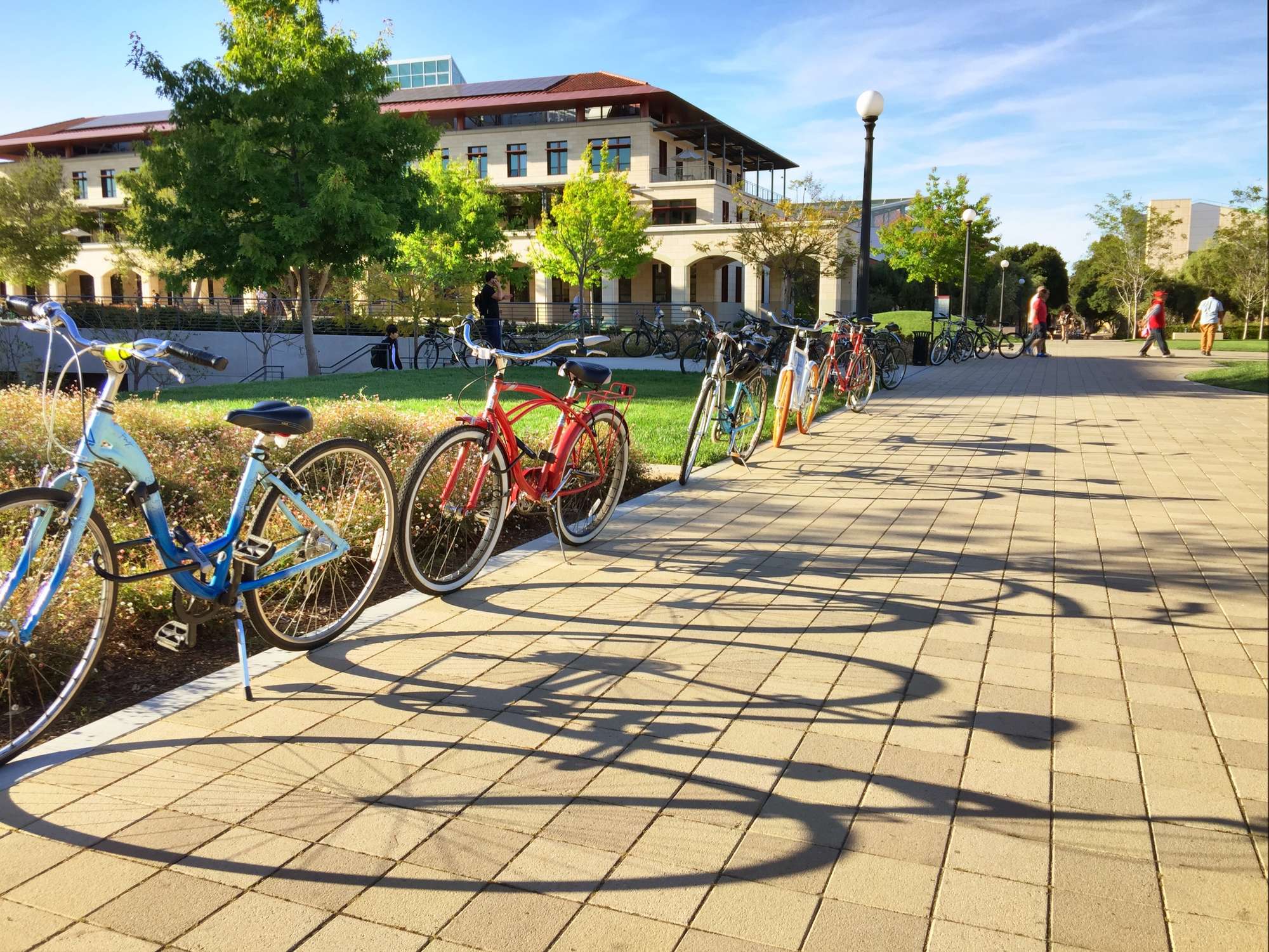 A line of bikes on campus