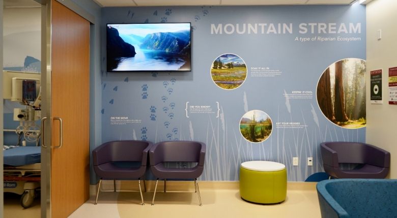 An interior wall of the pediatric emergency department with river-themed art.
