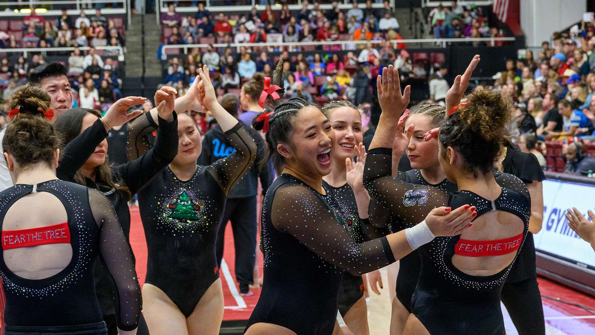 Gymnasts congratulate each other